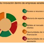 Aceleradoras Especializadas en Tecnología: Explorando su Rol