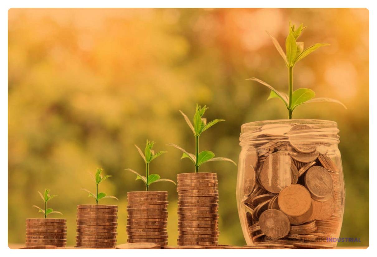 como atraer inversion a traves de la sustentabilidad