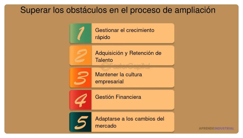 Cómo establecer procesos de escalado en startups