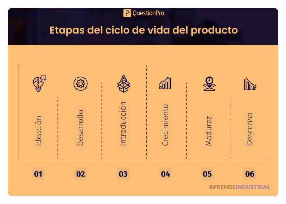 Cuál es el ciclo de vida de un producto mínimo viable