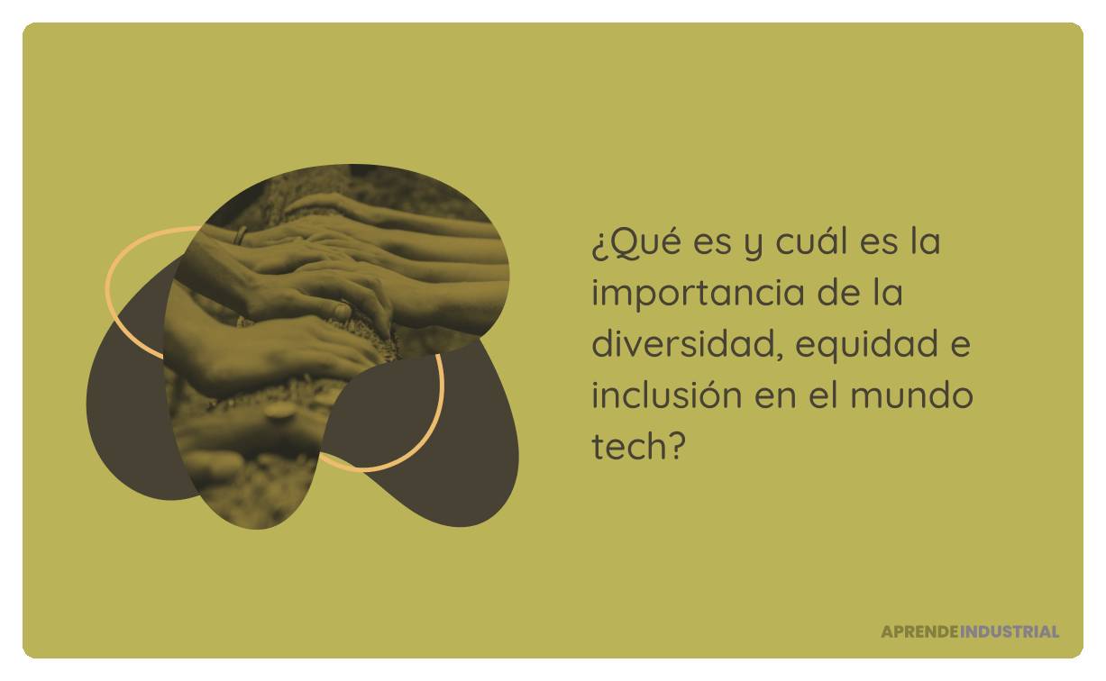 cual es la importancia de la diversidad e inclusion