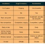 Diferencias entre incubadoras privadas y gubernamentales: un análisis