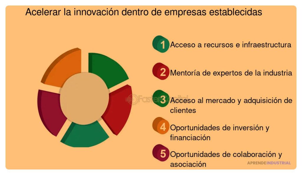 Ejemplos de colaboraciones exitosas en aceleradoras de startups