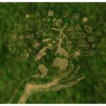 El impacto de las certificaciones ambientales en tu negocio