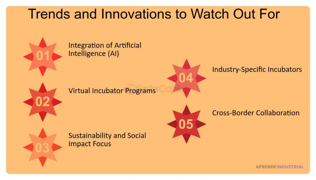 El papel de incubadoras en el fomento de startups innovadoras