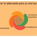 Incubadoras que apoyan a startups emergentes específicas