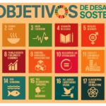 Iniciativas de economía social: un camino sustentable