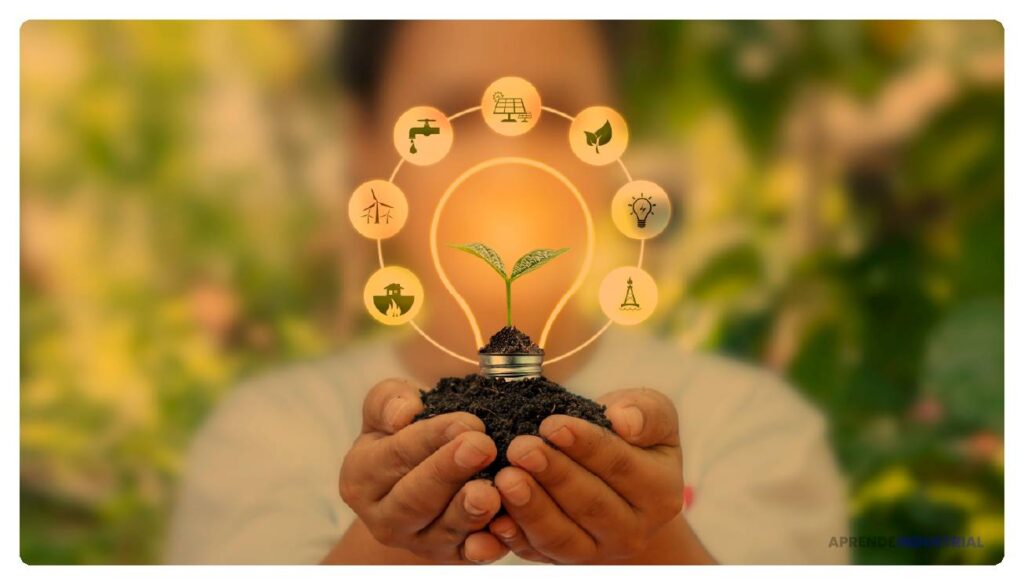 Inspira a otros emprendedores hacia la sostenibilidad efectiva 1 Inspira a otros emprendedores hacia la sostenibilidad efectiva