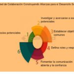 Papel de los incubadores en la creación de bienestar social