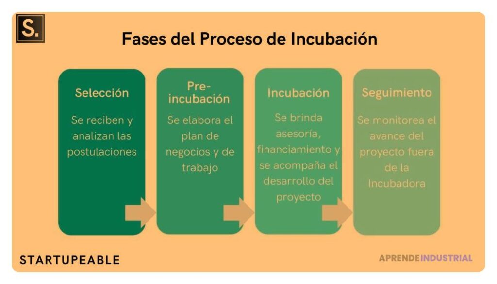 Proceso de selección de startups en incubadoras: Cómo funciona