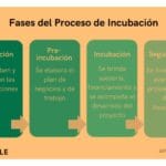 Proceso de selección de startups en incubadoras: Cómo funciona