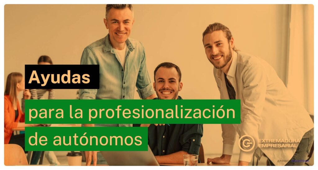 Qué es la 'professionalization' en el ámbito empresarial