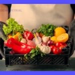 Alimentos Seguros: Guía Esencial de Higiene Alimentaria 2 Alimentos Seguros: Guía Esencial de Higiene Alimentaria