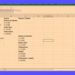 Análisis: Estructura de un Estado de Situación Financiera 3 Análisis: Estructura de un Estado de Situación Financiera