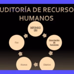 Auditoría en Administración: Tipos, Objetivos y Metodología