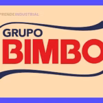 Bimbo: Así Funciona Su Proceso Administrativo Clave