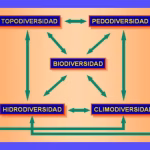 Biosfera: Estructura y Componentes Esenciales de la Vida 3 Biosfera: Estructura y Componentes Esenciales de la Vida