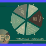 CEO: El perfil y responsabilidades del líder empresarial