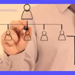 Clasificación de organigramas: Guía completa de tipos y diseños