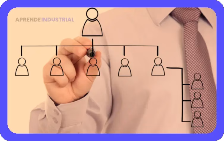 Clasificación de organigramas: Guía completa de tipos y diseños