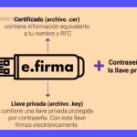 Cómo obtener e.firma FIEL: Requisitos y Proceso SAT