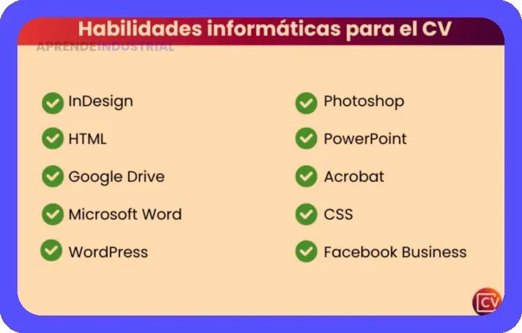 Curriculum Administrativo: Destaca tus habilidades clave