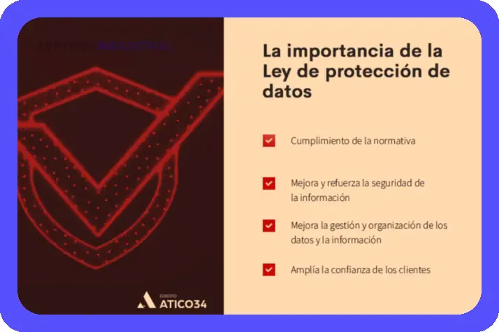 Datos Personales: ¿Por qué su protección es vital?
