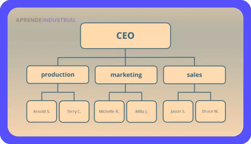 Departamentalización Funcional: Análisis de sus Pros y Contras 1 Departamentalización Funcional: Análisis de sus Pros y Contras