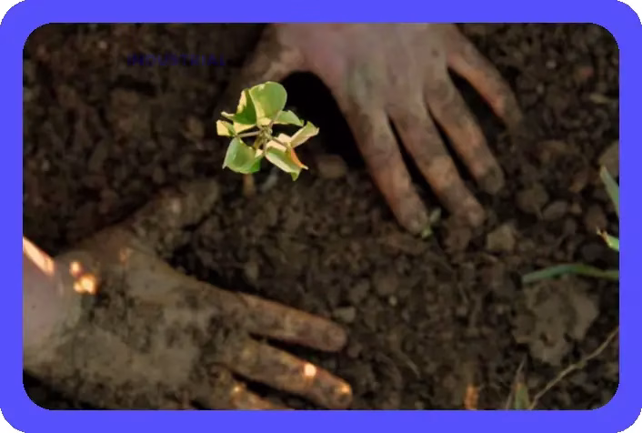 Ecosistemas en peligro: Consecuencias de su alteración 1 Ecosistemas en peligro: Consecuencias de su alteración