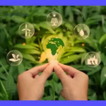 Energía Renovable: Alternativas a las Fuentes Tradicionales 3 Energía Renovable: Alternativas a las Fuentes Tradicionales