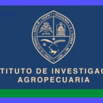 Estrategias en el Proceso Administrativo Agropecuario