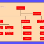 Estructura Empresarial: Departamentalización por Procesos Explicada