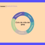 Evolución empresarial: Fases del ciclo de vida de la empresa