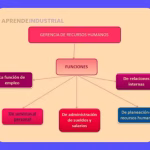 Gerente de Recursos Humanos: Rol, Funciones y Responsabilidades