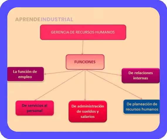 Gerente de Recursos Humanos: Rol, Funciones y Responsabilidades