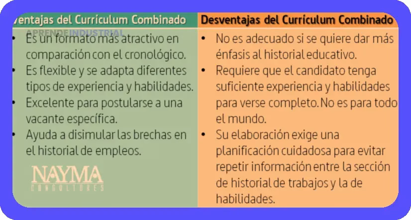 Hoja de vida tipos: Encuentra el formato ideal para ti.