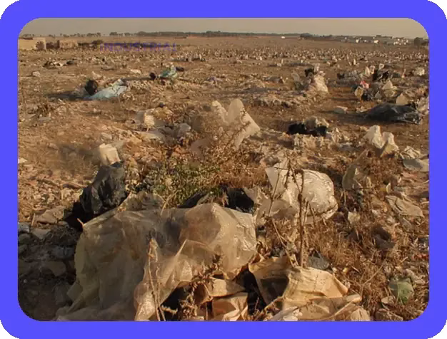 Impacto ambiental: Consecuencias de la contaminación del suelo