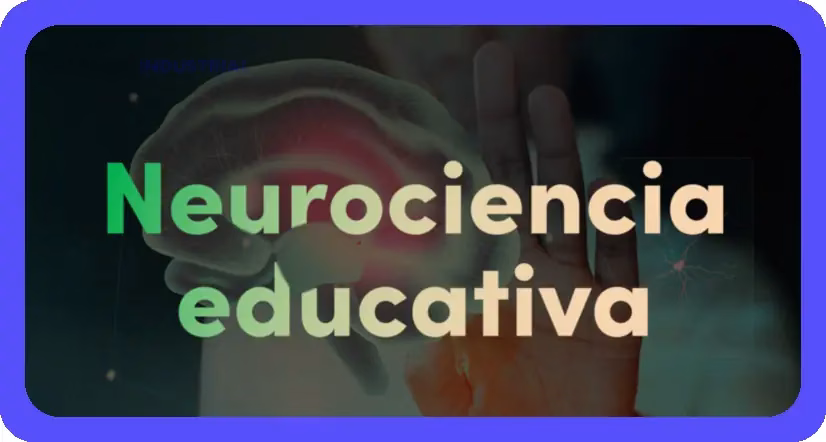 Neurociencia del aprendizaje: 5 claves para potenciarlo
