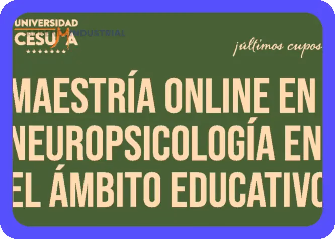 Neurociencia en la Educación: Claves para un Aprendizaje Óptimo