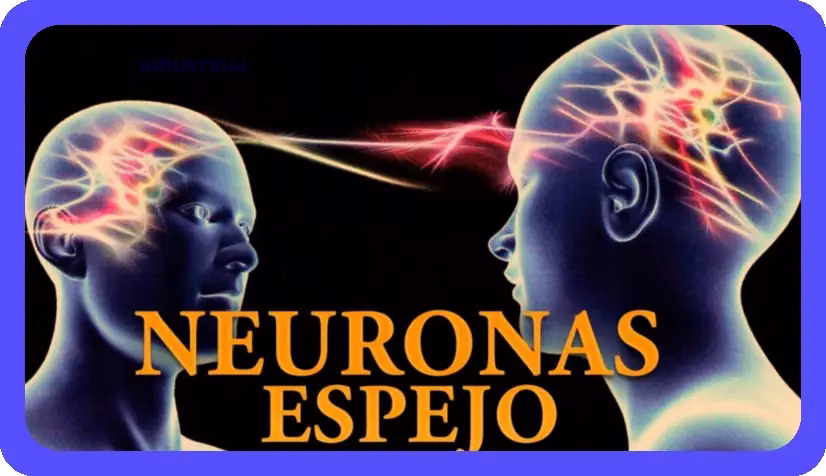 Neuronas Espejo: ¿Empatía, Imitación o Mito?