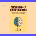 Neuroplasticidad: Descubre cómo aprende tu cerebro. 3 Neuroplasticidad: Descubre cómo aprende tu cerebro.