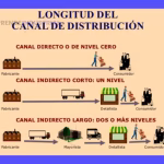 Plaza en Mercadotecnia: El Pilar Estratégico del Mix