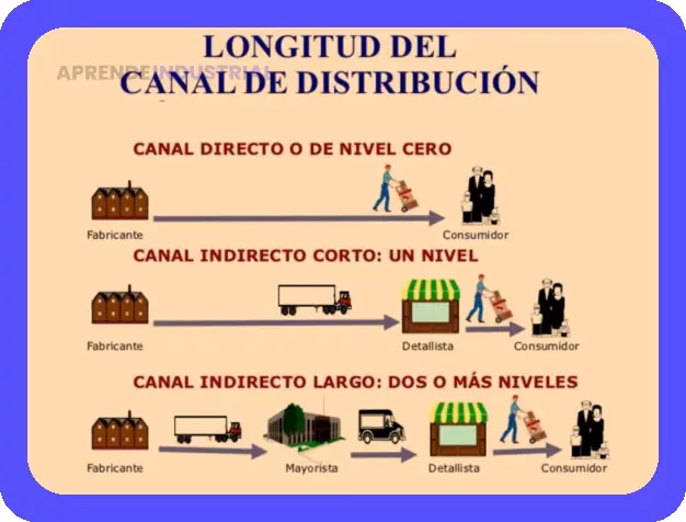 Plaza en Mercadotecnia: El Pilar Estratégico del Mix