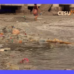 ¿Qué provoca la contaminación ambiental? Causas y efectos.