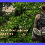 Turismo ambiental: Concepto, características y casos reales.